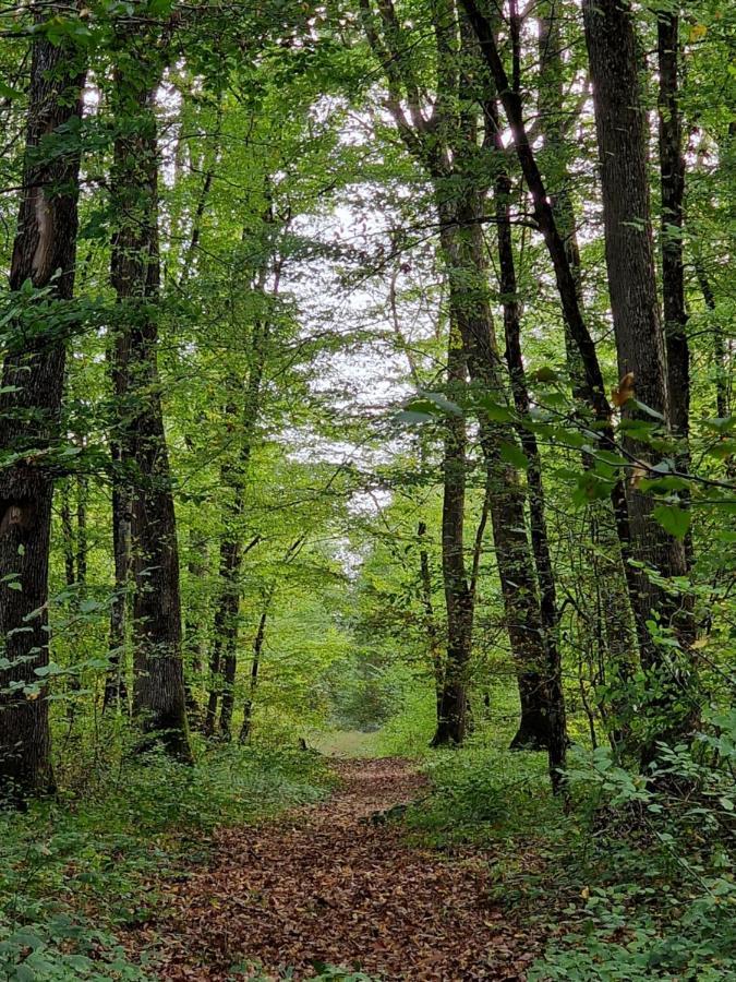 Chambre D'Hotes "Au Bord De Loire" La Marche Kültér fotó